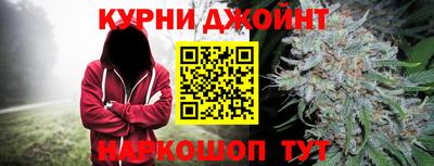 гидра Можайск